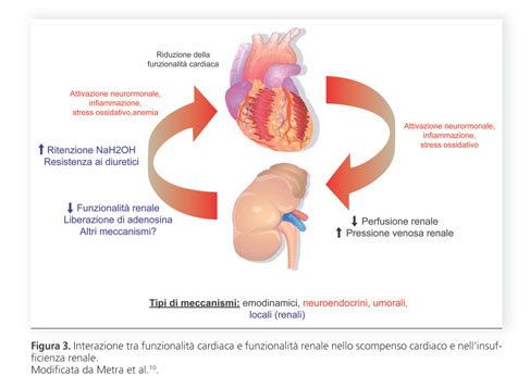 sapone di marsiglia liquido acqua e sapone Definizione di scompenso cardiaco acuto | Giornale Italiano di Cardiologia