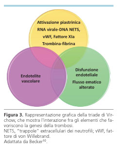 Proteina 'termometro' della microangiopatia trombotica, può predire la  mortalità nei pazienti affetti da Covid-19 