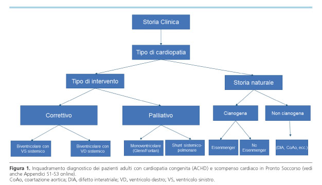 Il Cardiopatico Congenito Adulto In Pronto Soccorso Task Force Sulle Emergenze Del Cardiopatico Congenito Adulto Della Societa Italiana Di Cardiologia Pediatrica E Delle Cardiopatie Congenite Giornale Italiano Di Cardiologia Organo